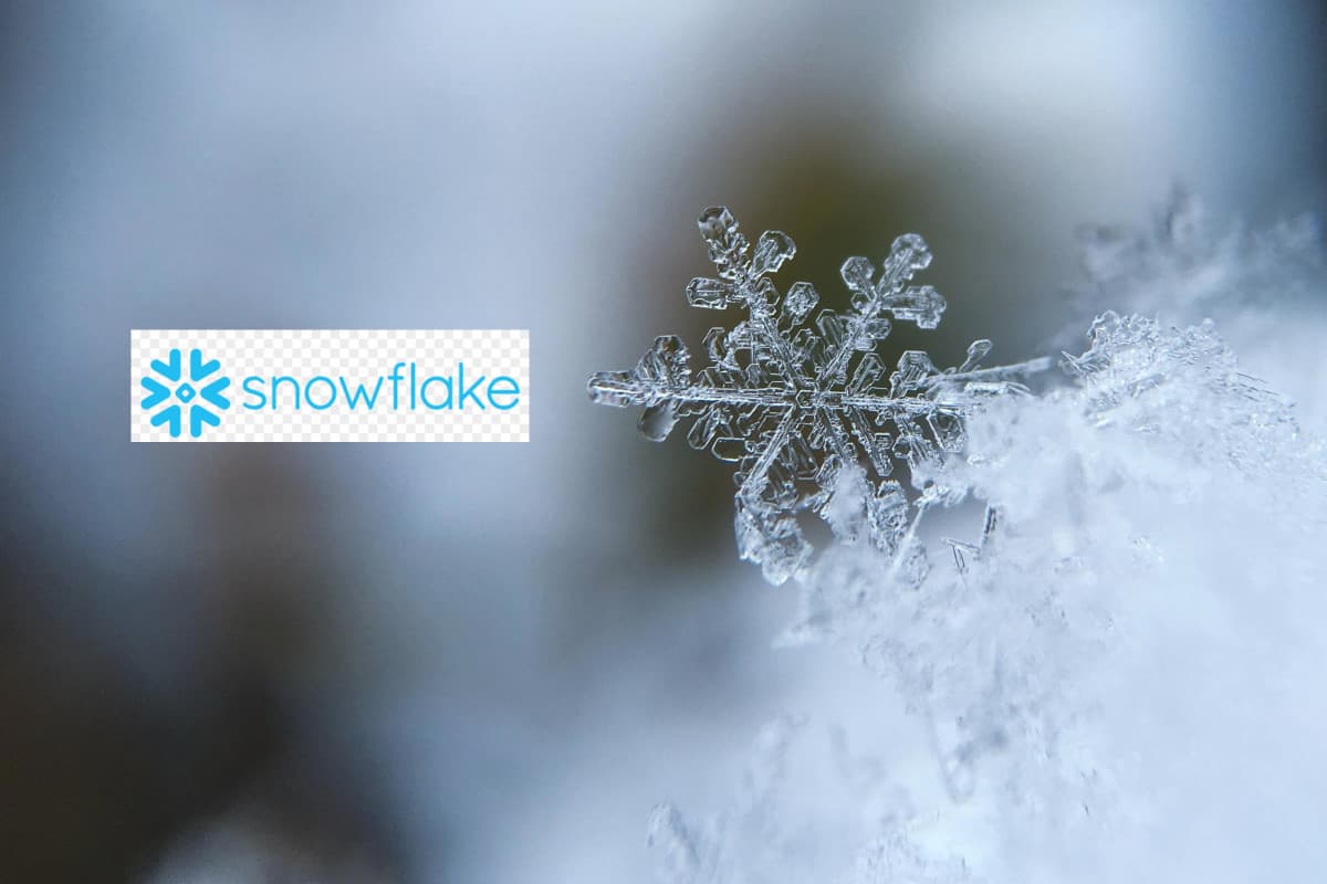 Snowflake | What it is, and how it’s become successful